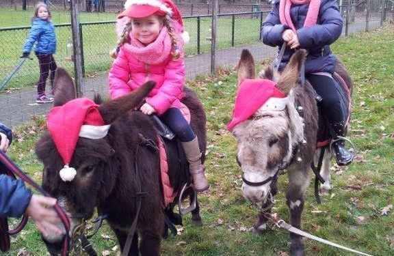 Bomvol kerstprogramma bij Kinderboerderij Dondertman toontje espelo dondertman bie toontje 