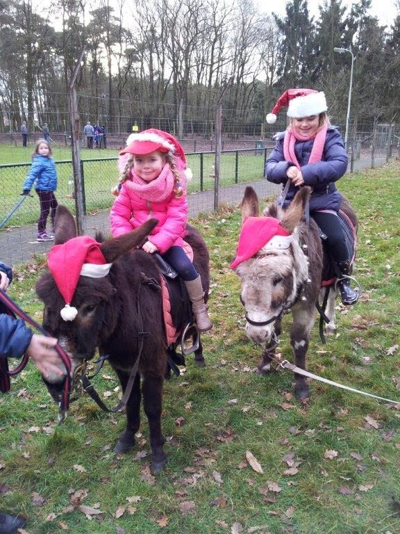 Bomvol kerstprogramma bij Kinderboerderij Dondertman toontje espelo dondertman bie toontje 