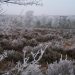 Winterpret bij Dondertman espelo dondertman 