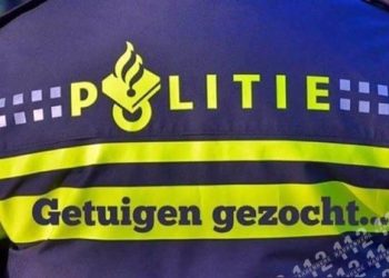 Politie zoekt bestuurder van Renault Twingo politie 