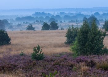 Holterberg Classic 2016 sallandse heuvelrug 