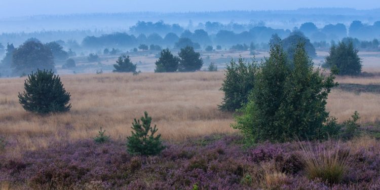 Dag van het Nationaal Park: mens en natuur sallandse heuvelrug 