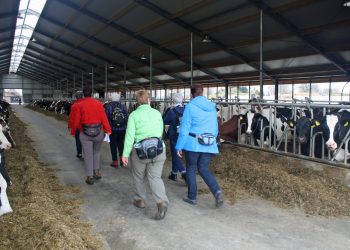 Wie wordt nieuwe trainer bij Mintonette? mintonette 