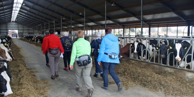 26 maart plattelandswandeling in Laren 