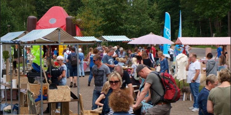 Kinderactiviteiten op het Holterbergplein quiz 