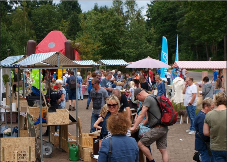 Kinderactiviteiten op het Holterbergplein quiz 