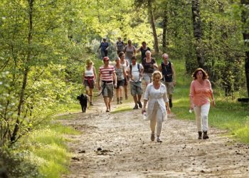 Sprookjesachtige slotavond voor Avond4Daagse Holten profoto avond4daagse holten avond4daagse 