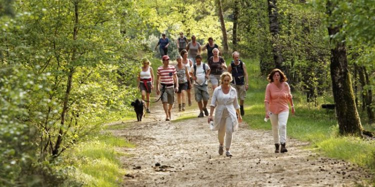 Sprookjesachtige slotavond voor Avond4Daagse Holten profoto avond4daagse holten avond4daagse 