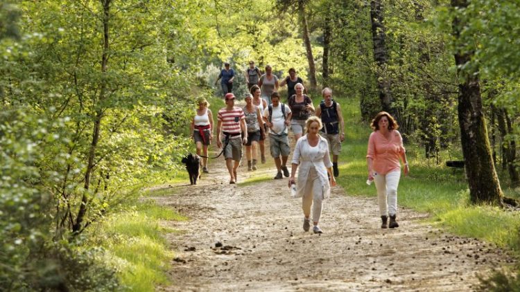 Avond4daagse Holten niet meer weg te denken avond4daagse holten avond4daagse 