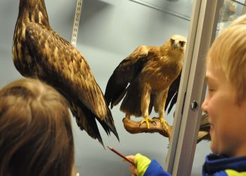 Hoolt’n vuur een klèine honderd joar trugge (1) 
