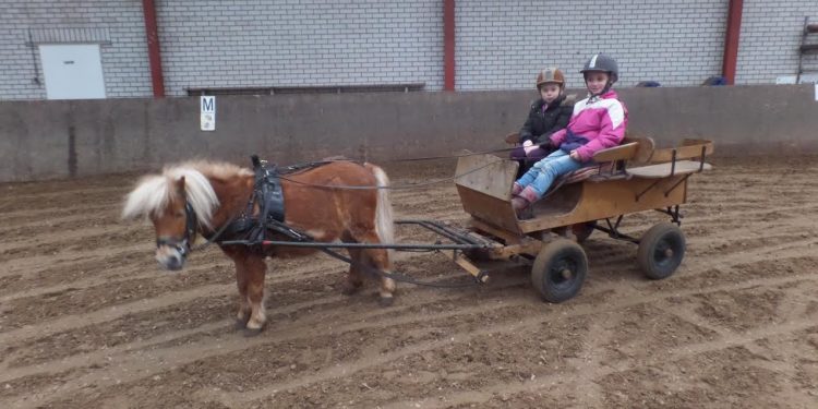 HoltensNieuws.nl Kijk en doe morgen op Snorrewind Kijk en doe morgen op Snorrewind snorrewind
