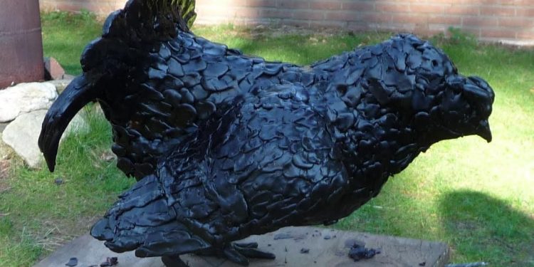 Actie: de Korhoen terug als beeld in Holten tastoe gemeente 