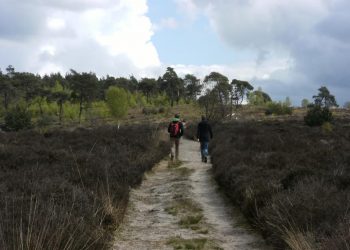 Zwemvierdaagse Holten van maandag 12 juni t/m vrijdag 16 juni triathlon 