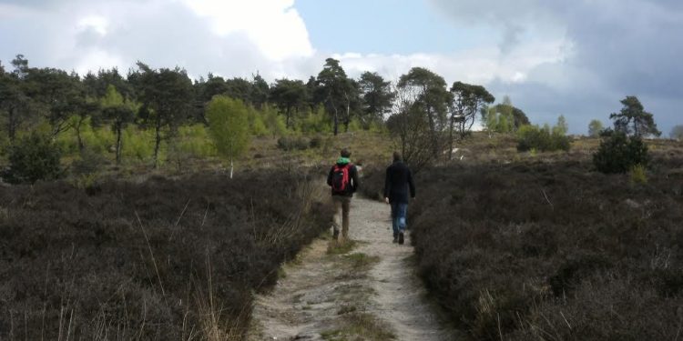Dauwwandelen en ontbijt op de Holterberg 