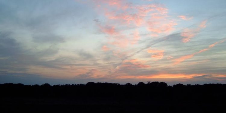HoltensNieuws.nl Avondwandeling, het donker tegemoet Avondwandeling, het donker tegemoet