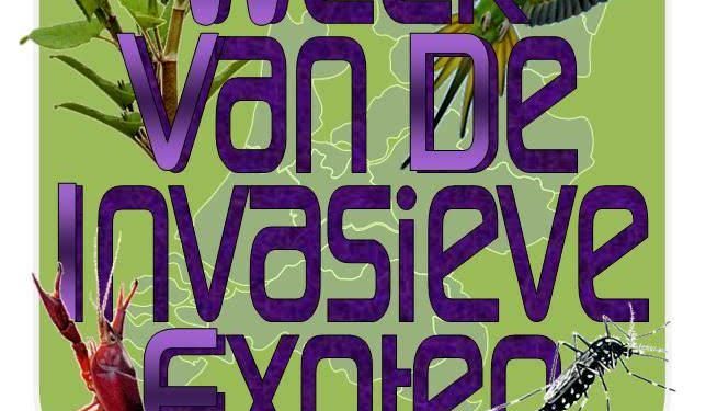 Week van de Invasieve Exoten quiz natuurdiorama 