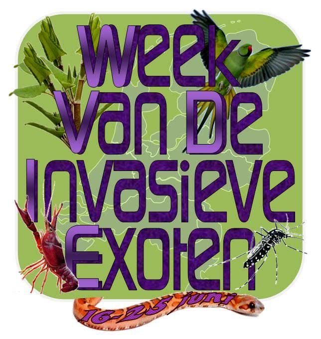 Week van de Invasieve Exoten quiz natuurdiorama 