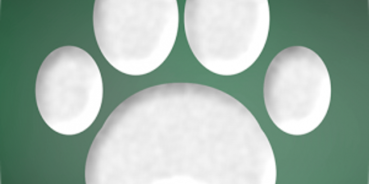 Hondenlosloopbos Holten gemeente 