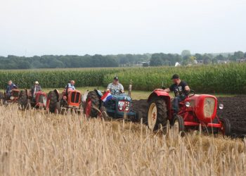 Collecte KWF kankerbestrijding 