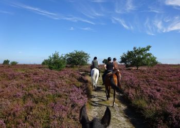Beurs Ruiter- en paardenspullen voor goede doel van start snorrewind 