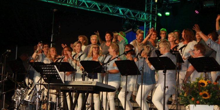 De “Hoolter Deerns” (voor even) achtergrondkoor van Kees Haak 