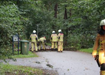 Boom waait om Winkelbergweg brandweer 