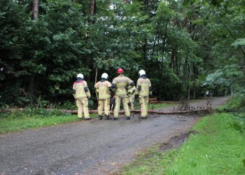 Boom waait om Winkelbergweg brandweer 