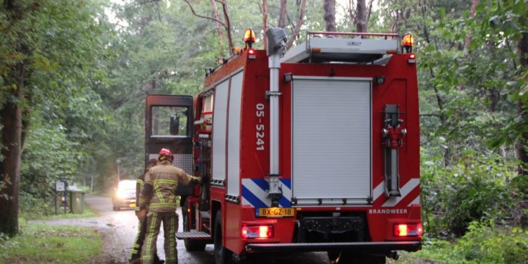 HoltensNieuws.nl Boom waait om Winkelbergweg Boom waait om Winkelbergweg brandweer
