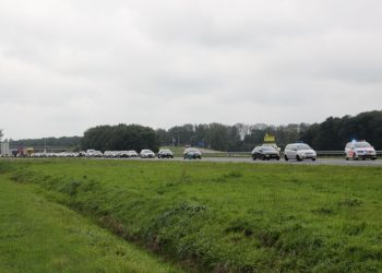 Hond aangereden op A1 