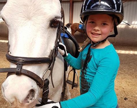 HoltensNieuws.nl Open Dag Manege en Groepsaccommodatie Snorrewind Open Dag Manege en Groepsaccommodatie Snorrewind snorrewind