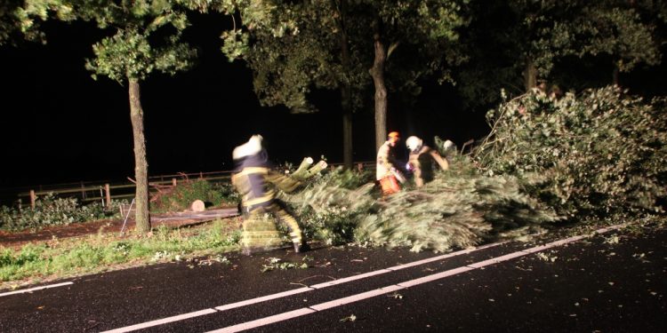 HoltensNieuws.nl Boom over de Holterstraatweg Boom over de Holterstraatweg politie brandweer