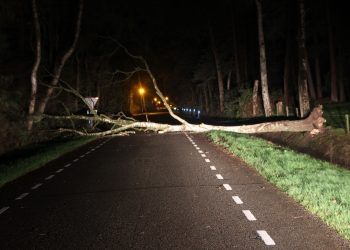 Boom over de Espelodijk brandweer 