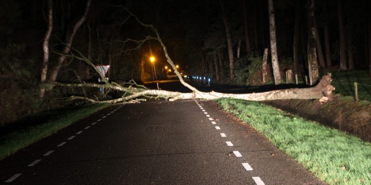 HoltensNieuws.nl Boom over de Espelodijk Boom over de Espelodijk brandweer