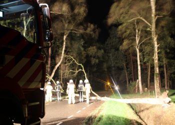 Boom over de Espelodijk brandweer 