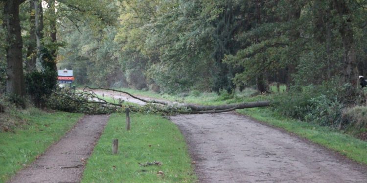 HoltensNieuws.nl Boom over de Kroepinsweg Boom over de Kroepinsweg brandweer