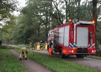 Boom over de Kroepinsweg brandweer 