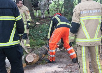 Boom over de Kroepinsweg brandweer 