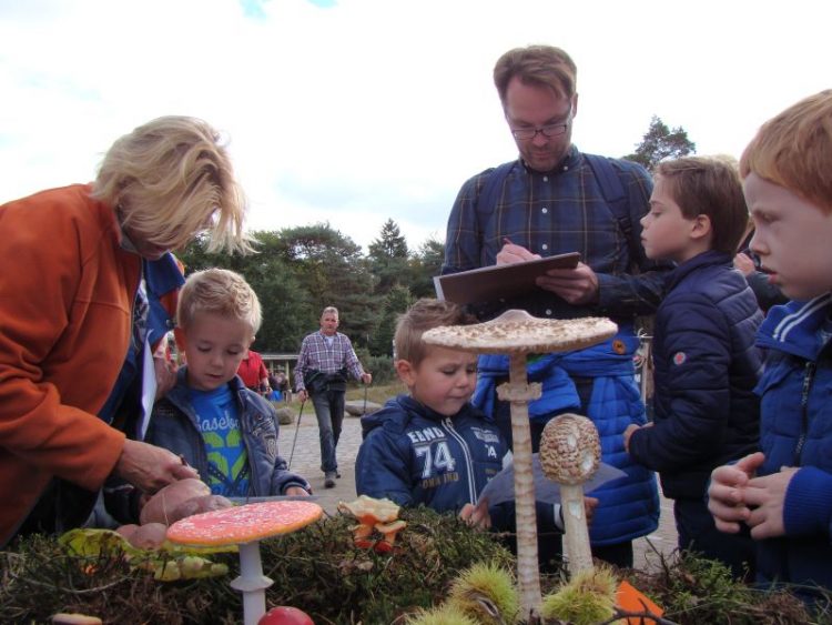 Herfstvakantie: Paddenstoelensafari op de Holterberg 