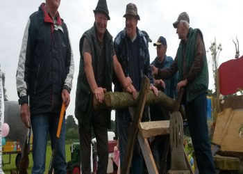 Prachtige Holterbergrit snorrewind sallandse heuvelrug 