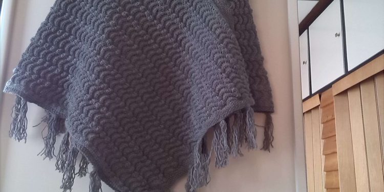 HoltensNieuws.nl Welfare bij Supermarkt Albert Heijn Welfare bij Supermarkt Albert Heijn diessenplas