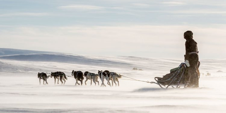 HoltensNieuws.nl Help Marylou Holleman naar fjällräven polar 2018 Help Marylou Holleman naar fjällräven polar 2018