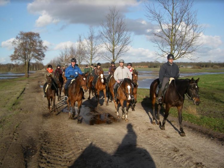 Buitenrit te paard met Kerst snorrewind 