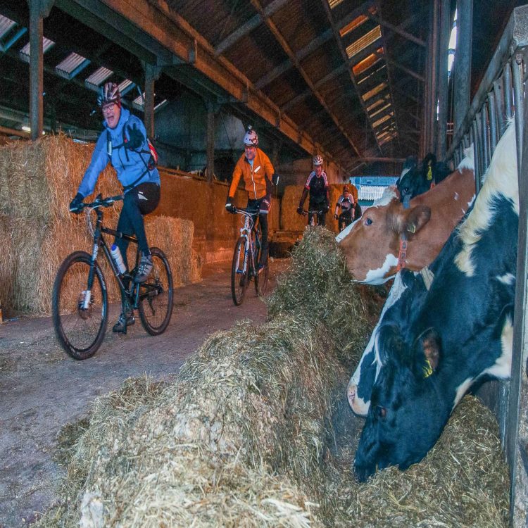 Gewijzigde routes Beemd- en Bergtoer wielervereniging sallandse heuvelrug beuseberg 