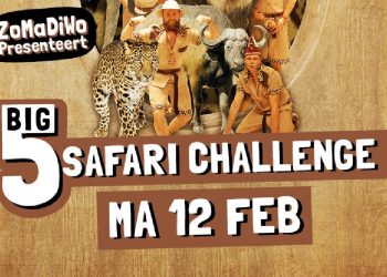 Dweil’n en Fijl’n fienpreuvers carnaval 
