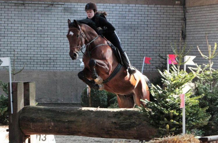 Indoor cross bij manege Snorrewind snorrewind 