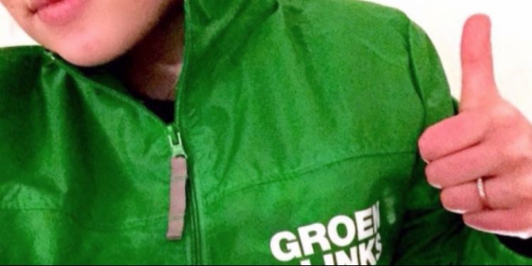 HoltensNieuws.nl GroenLinks gaat huizen nu echt verduurzamen GroenLinks gaat huizen nu echt verduurzamen gemeente