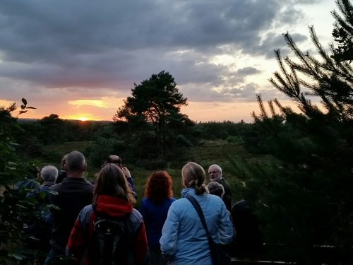 Nachtzwaluwwandeltocht 