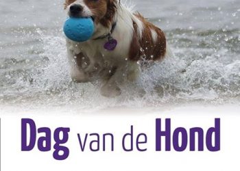 Holtens Gemengd Koor bezoekt Steinfurt 