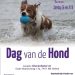 Allerlaatste singlescafe voor ouderen Holten 