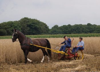 Collecte KWF kankerbestrijding 